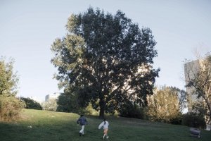 Filmy .týždňa: Dve slovenské romance a odolné zlo z labáku