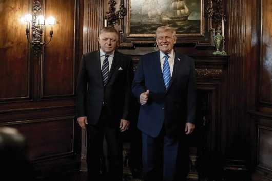 Nový hlúpy svet