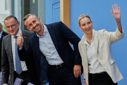 V AfD zvažujú odklon od dlhoročných postojov proti EÚ, píše Reuters