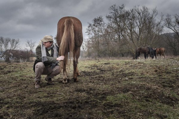 Reportáž z východného Slovenska: Ak stíchneme, skončíme na dne Šíravy, hovorí nespokojný farmár