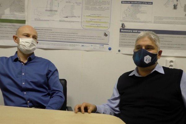 Slovenskí vedci Čekan a Klempa vyvinuli test, ktorý vie rozpoznať chrípku od Covidu-19
