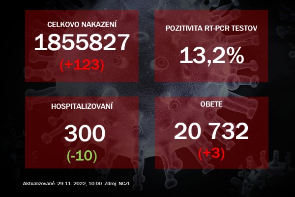 Koronavírus ONLINE: PCR testy v pondelok odhalili 123 pozitívnych