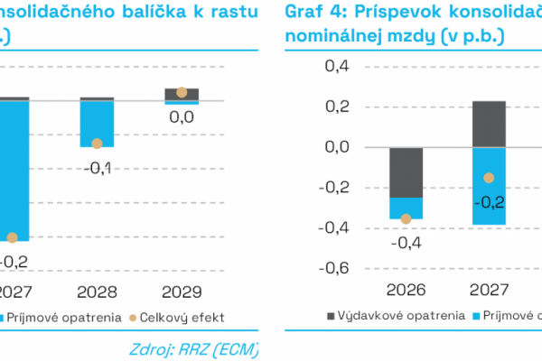 Rada pre rozpočtovú zodpovednosť: Konsolidácia spomalí ekonomiku na 12 rokov, alternatíva by bolela viac