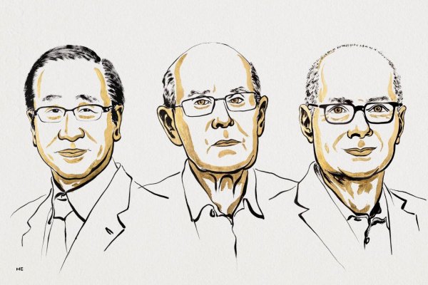 Nobelovu cenu za chémiu získali Susumu Kitagawa, Richard Robson a Omar Yaghi za vývoj kovovo-organických štruktúr