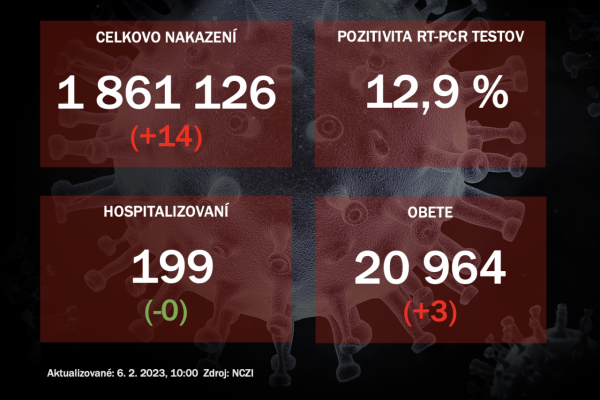 Koronavírus ONLINE: PCR testy v nedeľu odhalili 14 pozitívnych