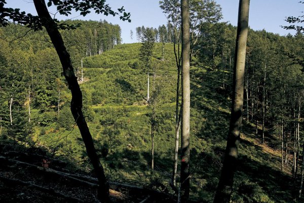 Les, hanba a UNESCO