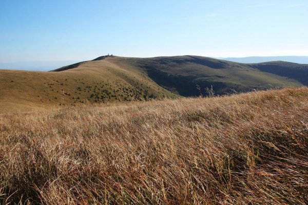 Neštátni vlastníci lesov v NP Veľká Fatra pripravujú podanie na Ústavný súd SR