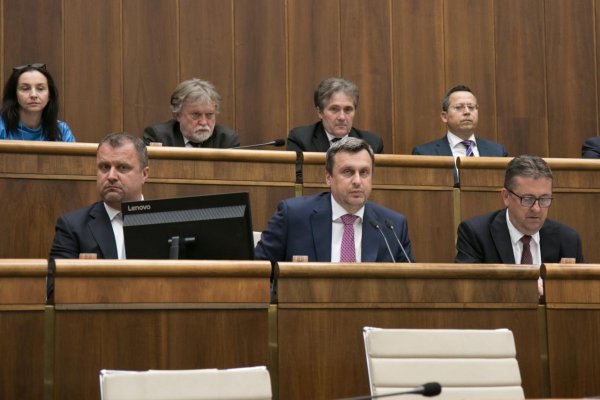 Parlament zastavil ratifikáciu Istanbulského dohovoru o boji proti násiliu na ženách