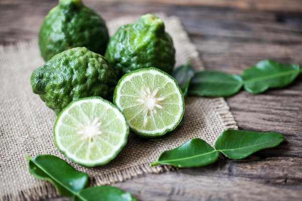 Bergamot, hriešna limetka z Kalábrie 