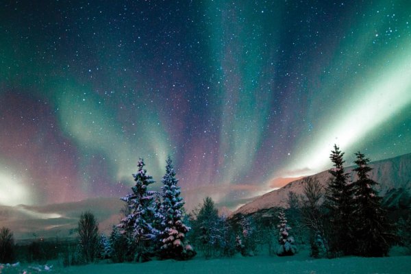 Nový rok pre introvertov: Putovanie za svetlom