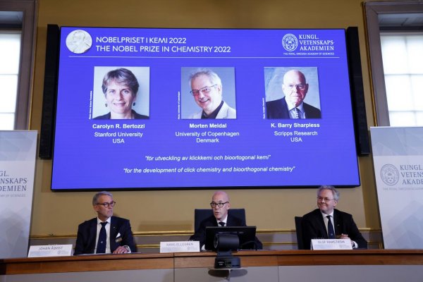 Nobelovu cenu za chémiu udelili za výskum spájania molekúl trojici vedcov