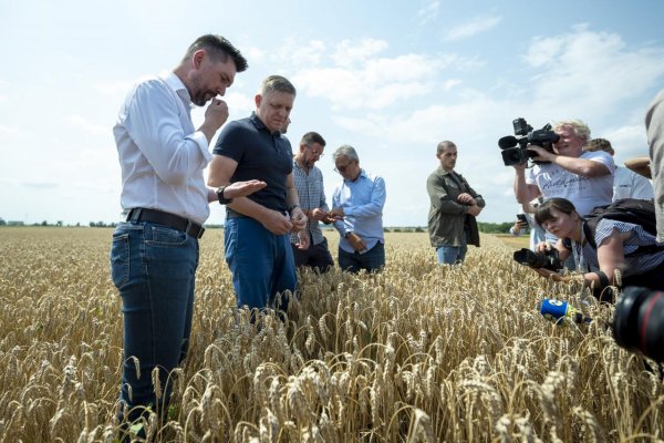 Robert Fico „chytá v žite“ svoju popularitu