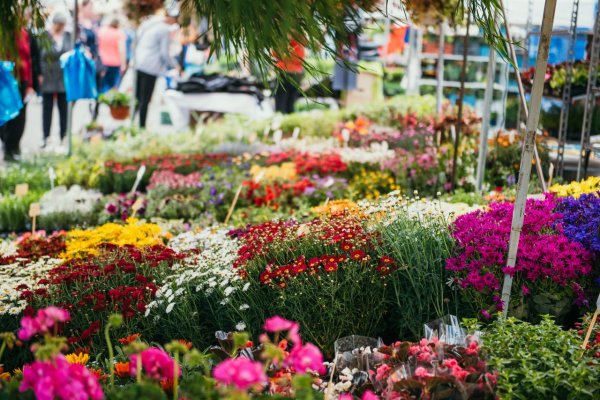 Do Nitry za nábytkom a kvetmi! Už 15.4. štartuje veľtrh Nábytok a Bývanie & Gardenia 2026