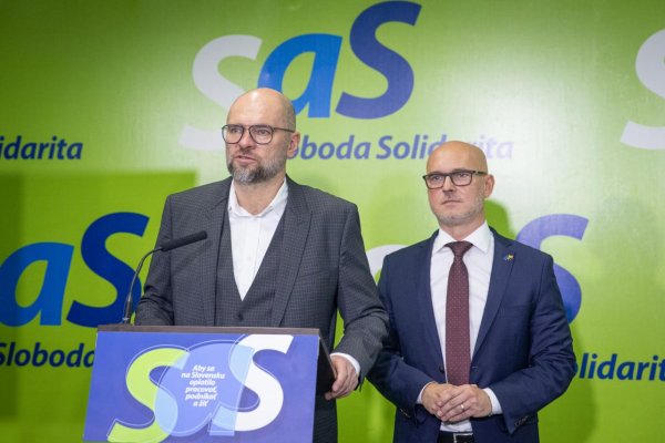 SaS: Sme otvorení dohode o školskom zákone, na rade je Heger