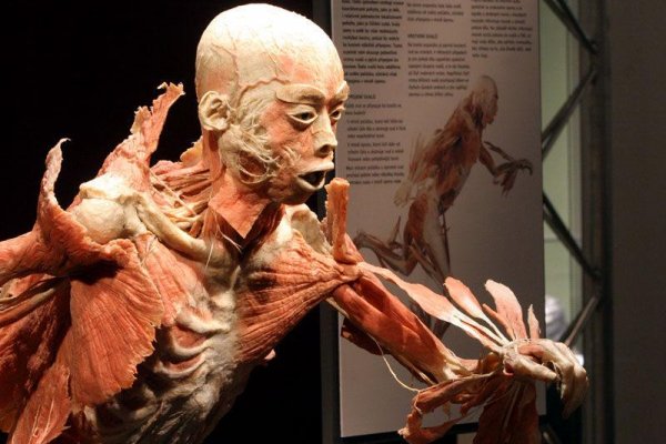 Nechoďme na výstavu hrôzy