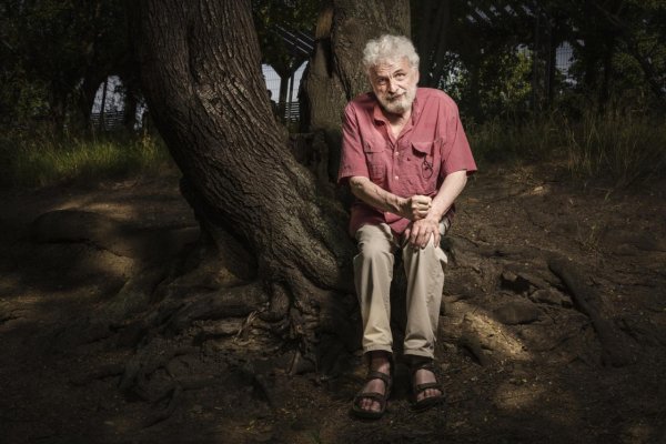 Čítanie Tóry: Dve tváre slova obeť