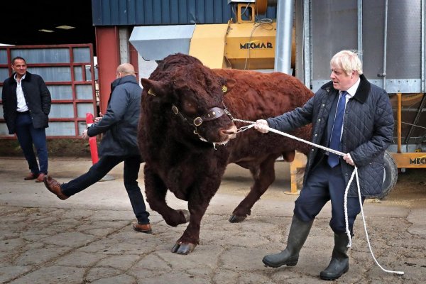 ﻿Boris v kaši je Boris vo svojom živle