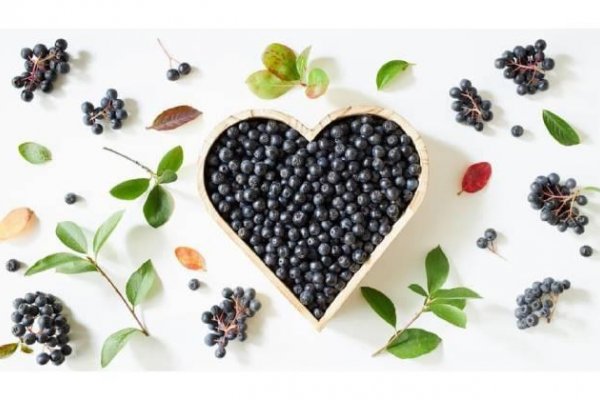 Kráľovná antioxidantov, ktorá zaujala aj vedcov: „Prečo je slovenská arónia  číslo 1 na vašu imunitu?!“