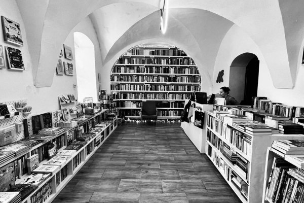 .mladí: Ohrozený živočíšny druh – kníhkupectvo malé