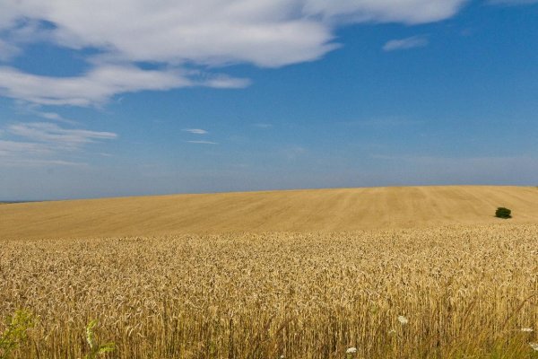 Európska únia a Ukrajina sa dohodli na nových pravidlách pre obchod s poľnohospodárskymi produktmi