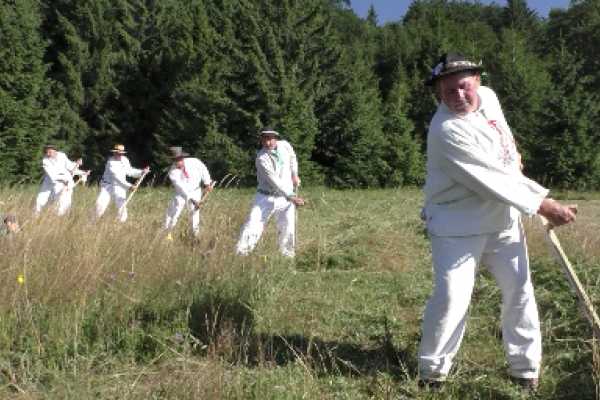 Kopanecké lúky: Poklad, ktorý zachraňujú nadšení ľudia