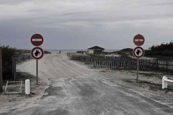 Zastavte sa (Aké fotografie vystavuje spisovateľ Michel Houellebecq v Bratislave?)