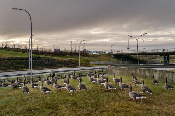 Paradoxy fotografických obrazov Borisa Németha