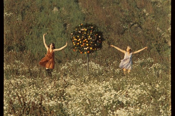 plan.art: Víkendový TO DO list 17. 1. – 18. 1.