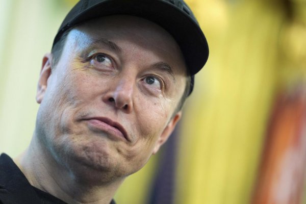 Musk na zhromaždení krajnej pravice vyzval na zmenu britskej vlády