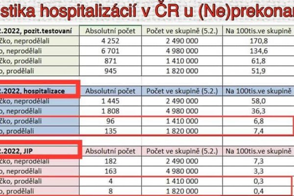 Dáta bez pátosu: Kto v pandémii plní nemocnice? Dáta z Čiech