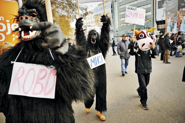 Vytreštené oči, stopy koksu v moči