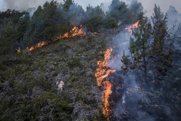 Globálne otepľovanie po prvý raz celoročne prekročilo 1,5 stupňa Celzia