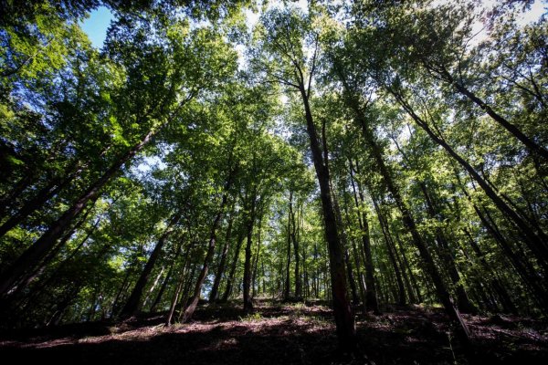 #Voľby2020: Klimatickú zmenu už pociťujú aj politici. Životnému prostrediu venujú viac priestoru