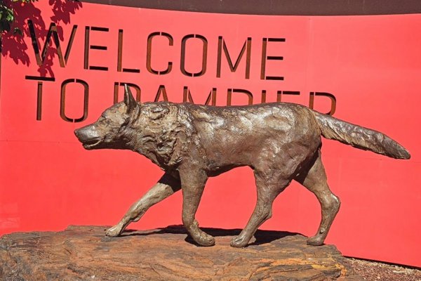 Slávne zvieratá: Červený pes, austrálsky hrdina